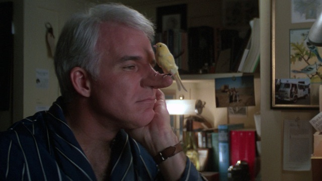 Image result for roxanne film