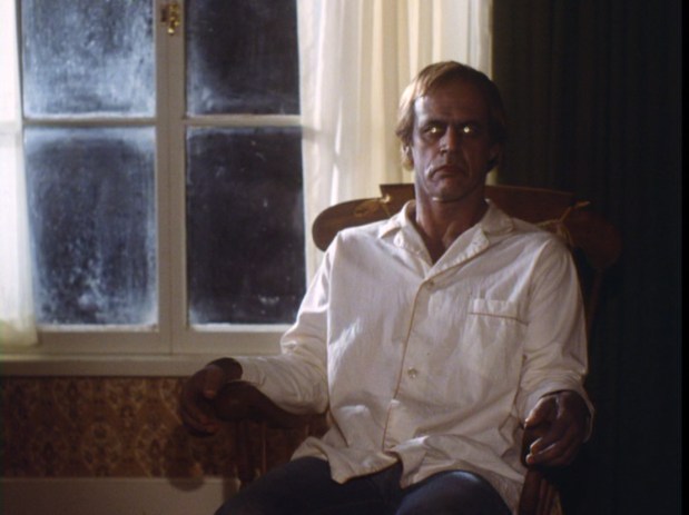 Image result for salem's lot 1979