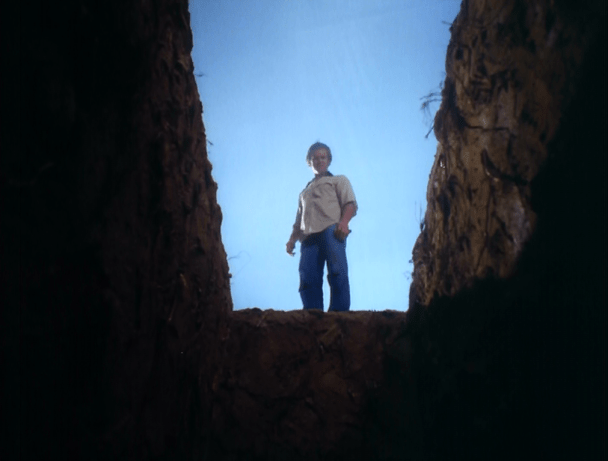 Image result for salem's lot 1979