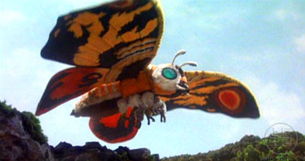 See the source image