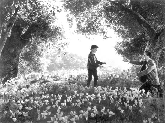 See the source image